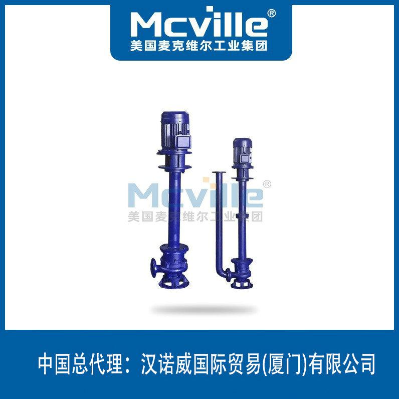 進口污水泥漿泵