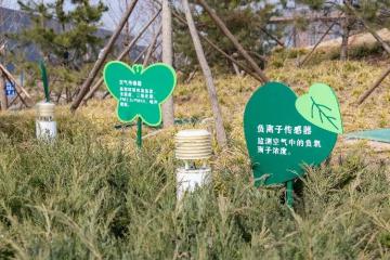 以“數”為基，京東科技服務雄安新區“人城數”協同發展