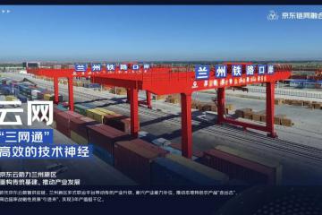 2022年世界500強京東躍升至46位 鏈網(wǎng)融合成為新型實體企業(yè)最佳實踐