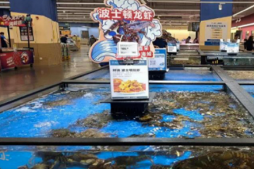 盒馬的收縮可能才剛剛開(kāi)始