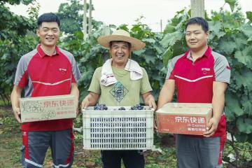 國家郵政局：鼓勵郵政快遞企業優化共配合作模式，不斷擴大快遞進村覆蓋廣度和深度