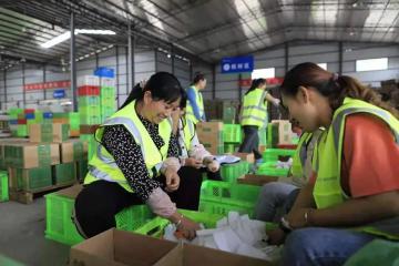 如何釋放農村家居消費潛力？如何優化縣域流通網絡和渠道？商務部答記者問