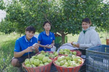 新疆中通網(wǎng)點(diǎn)的“生意經(jīng)”：駐點(diǎn)攬收，日發(fā)香梨2萬(wàn)單