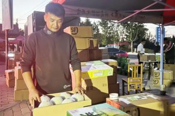 順豐助“梨”飛出國門！
