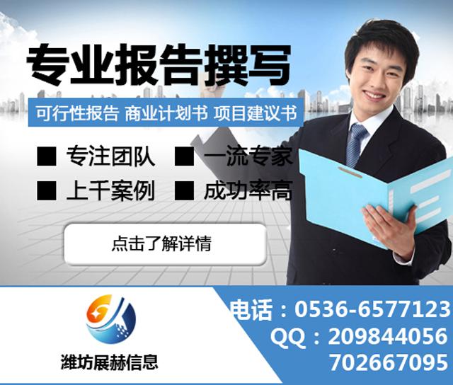 代寫融資計劃書,代寫商業計劃書，代寫可行性報告，代寫政府立項報告