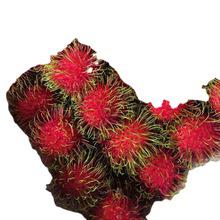 天津港進(jìn)口泰國(guó)毛丹果荔枝果凍原料自制冰淇淋手工報(bào)關(guān)清關(guān)