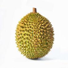 廣東進(jìn)口馬來(lái)西亞貓山王金枕榴蓮原箱整件冷凍榴蓮報(bào)關(guān)清關(guān)