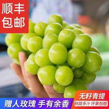 青島港進口日本晴王香印青提當(dāng)天現(xiàn)摘禮盒水果店葡萄報關(guān)
