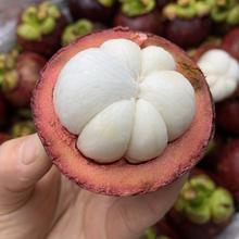 廣州港進口泰國山竹水果食品水果店榨汁新鮮報關清關