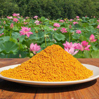 美國(guó)國(guó)蜂花粉健康養(yǎng)生食品中老年孕婦營(yíng)養(yǎng)蜂蜜常州港進(jìn)口報(bào)關(guān)
