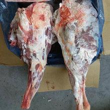 天津進(jìn)口澳大利亞澳洲去骨綿羊嫩腿肉羊腿冷凍羊肉報關(guān)清關(guān)