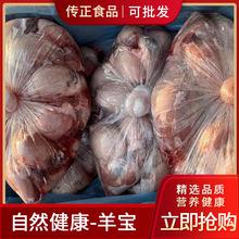 天津進(jìn)口澳洲一手貨源批發(fā)清真嫩羊新鮮冷凍羊肉報(bào)關(guān)清關(guān)