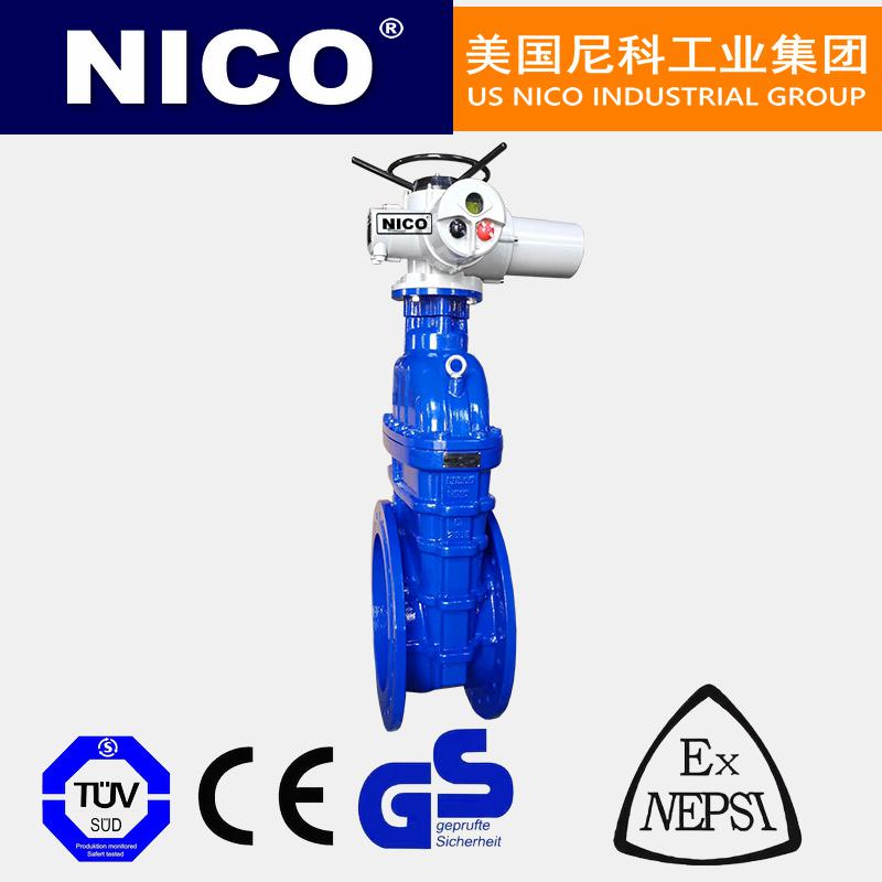 進口明桿電動閘閥