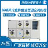 防爆風(fēng)冷直膨恒溫恒濕潔凈空調(diào)機(jī)組