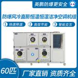 防爆風(fēng)冷直膨恒溫恒濕潔凈空調(diào)機(jī)組